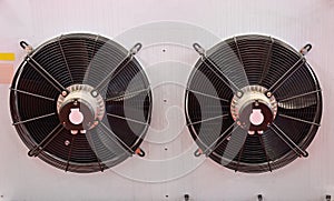 Two Cooling Fans