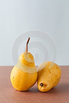 Two corella pears