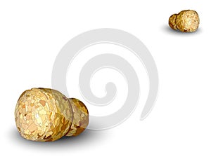 Two cork lie on diagonal white