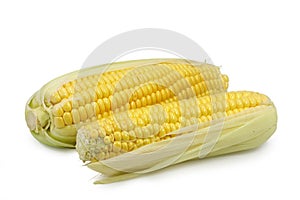 Two corn on cob