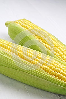 Two corn cob closeup