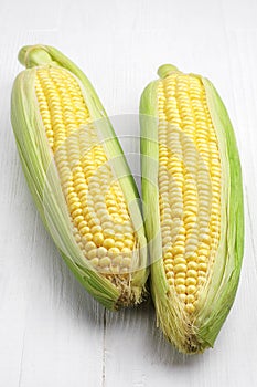 Two corn cob