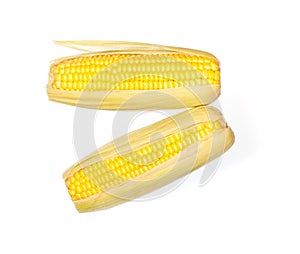 Two corn cobs