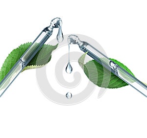 Two cosmetic pipettes with dripping drops with leaves closeup isolated on a white background