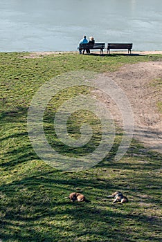 Two couples relaxing