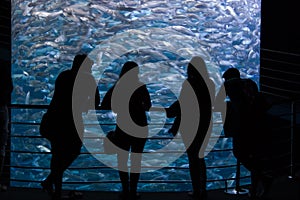 Two couples watching the fish dance