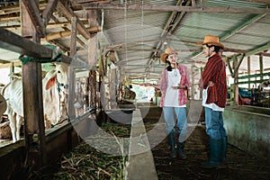 Two cow breeders wearing casual clothes stand chatting photo