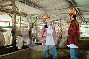 two cow breeders wearing cowboy hats stand chatting with hand gestures photo