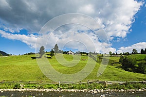 Two cows graze near the house on the hill.