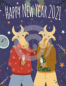 Two cows hug and celebrate new year 2021 with champagne and fireworks.Card  poster  banner
