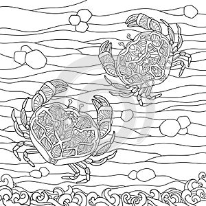 Two crabs with simple patterns on sand with  waves. Illustration of the sea world on white isolated background.