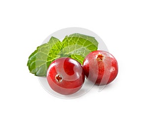 Two cranberries with mint leaf close-up isolated on white background