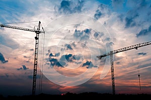 Two cranes on sunset background