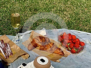 Two croissant and strawberry in the picnic on a morning