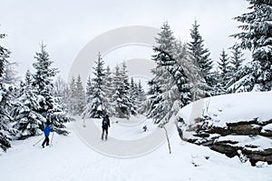 Two cross-country skier in Jizera Mountains