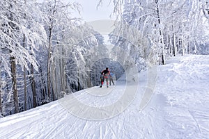 Two cross-country skiers runs a groomed ski trail. Road in mountains at winter day. Trees covered with hoarfrost.