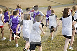 Two Cross Country Teams in a Big Race