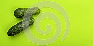 Two cucumber on green background, top view.