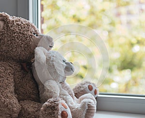 Two cuddled teddy bears hugging looking out a window