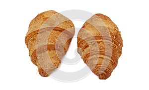 Two cuirassins on a white background