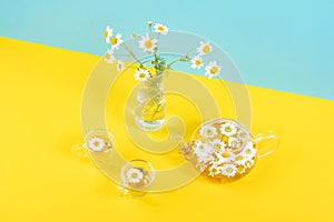 Two cups of camomile tea, transparent teapot and vase with daisy-like flowers on blue yellow background. Chamomile Tea