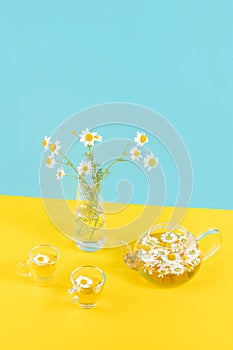 Two cups of camomile tea, transparent teapot and vase with daisy-like flowers on blue yellow background. Chamomile Tea