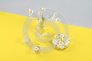 Two cups of camomile tea, transparent teapot and vase with daisy-like flowers on gray yellow background. Chamomile Tea Benefits