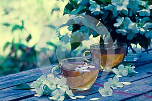 Two cups of green tea with jasmine flowers