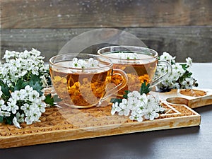 Two cups of herbal haw thorn tea from flower buds around blooming branches on wooden cutting board