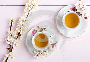 Two cups of tea and spring flowers blooms of an Apricot on a light pink wooden table