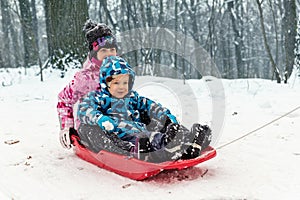 Two cute adorable funny sibling kid friend wear warm jacket enjoy have fun sledging at city park area or forest against