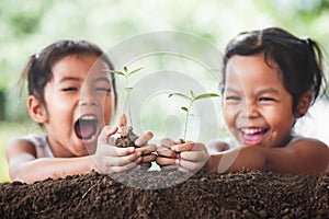 Two cute asian child girls planting young tree on black soil