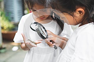 Two cute asian child girls using magnifying glass watching and learning on grasshopper that stick on hand with curious and fun