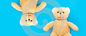 Two cute brown teddy bears child toy with open arms and heads side by side upside down in opposite directions.