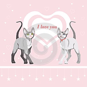Two cute cat: Valentines day illustration