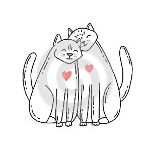 Two cute cats in love. Cats in hand drawn doodle style isolated on a white background.