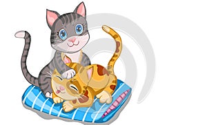 Two cute cats are playing