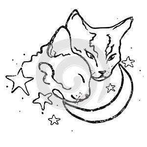 Two cute cats together/moon and stars/ love