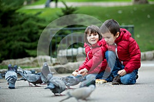 Two cute children, boy brothers, feeding pigeons in the park