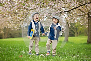 Two cute children, boy brothers, walking in a spring cherry blossom garden