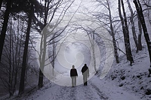 Two cute couples in winter clothes walk through a wall of trees drowned in thick white fog. Woman and man go across destiny.