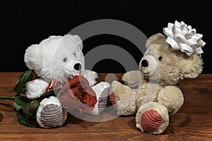 Two cute cuddly teddy bears with single red rose iand white bow on wooden table on dark background