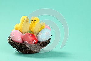 Two cute decorative chickens sitting on a colorful painted eggs in a bird`s nest. Light turquoise background with copy space.