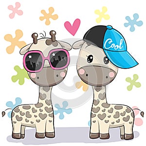 Two Cute giraffes with glasses and cap