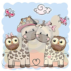 Two cute giraffes and owls