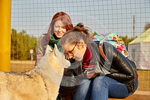 Two cute girl with long hair with dog in the autumn sunny day. Friendship women and dog