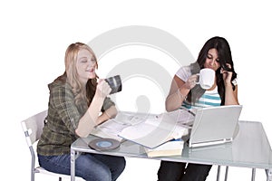 Two cute girls studying at thier desks