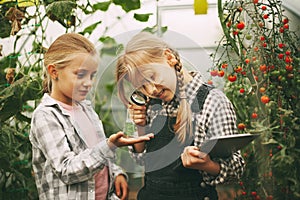 Two cute girls with a tablet in their hands examine a sample of a plant through a magnifying glass. Curious children