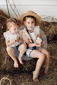 Cute girls in hay hats keeping little chickens in village