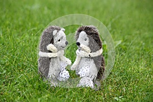 Two cute hedgehog toys in the park